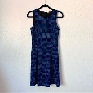 41 Hawthorn Jace Blue Dot Fit and Flare Dress